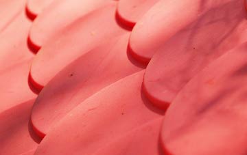 Frizzelers Green plastic roof costs