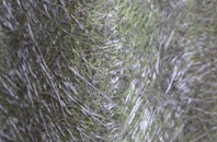 Frizzelers Green fibreglass roof work