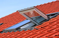 Frizzelers Green roof window
